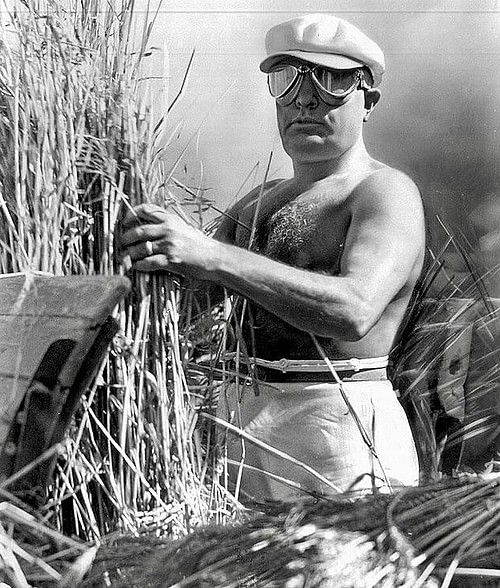 Propaganda Picture of a Shirtless Mussolini